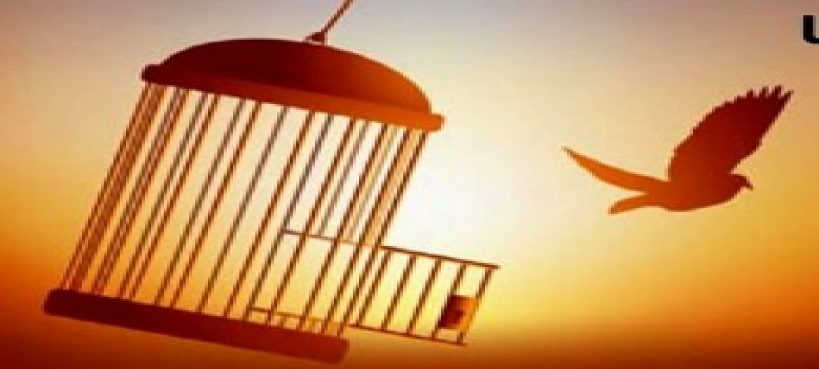 آزادی یک زندانی توسط دانش‌آموزان مدرسه پیروان امام علی(ع)